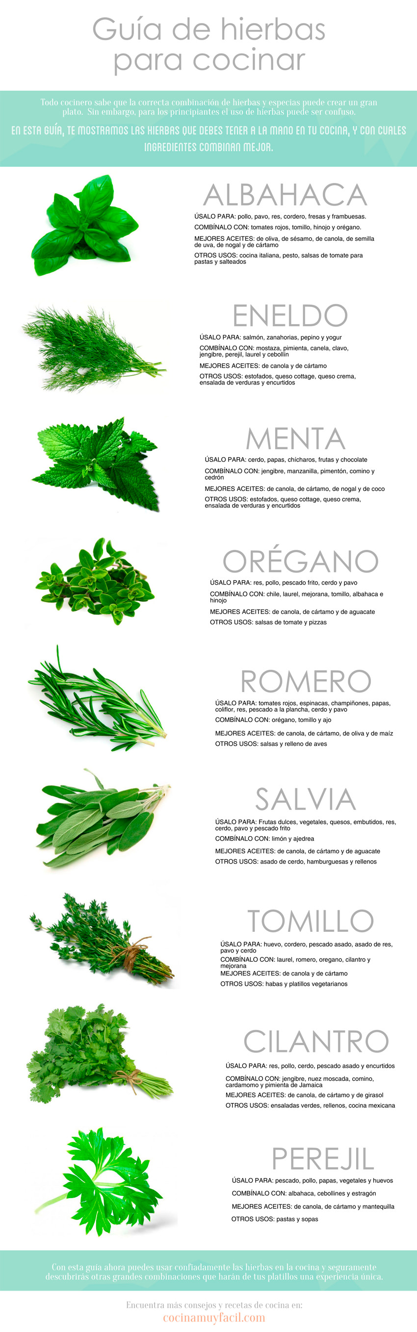 infografia-hierbas-cocinar_mini